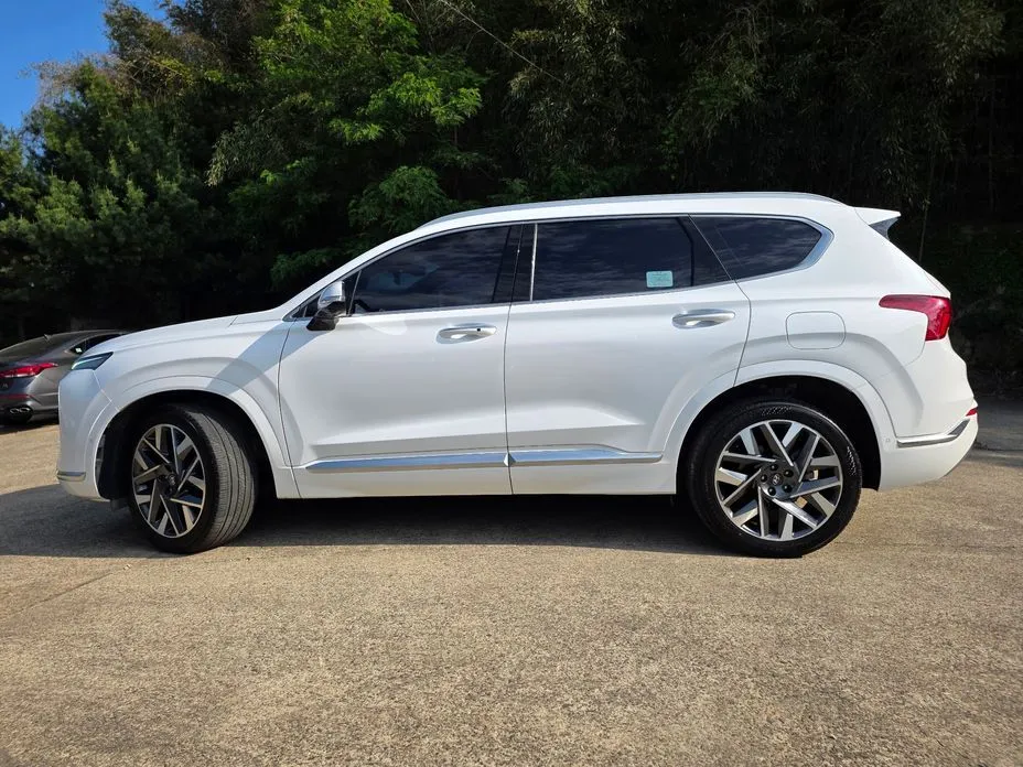 Hyundai Santafe — фото 10