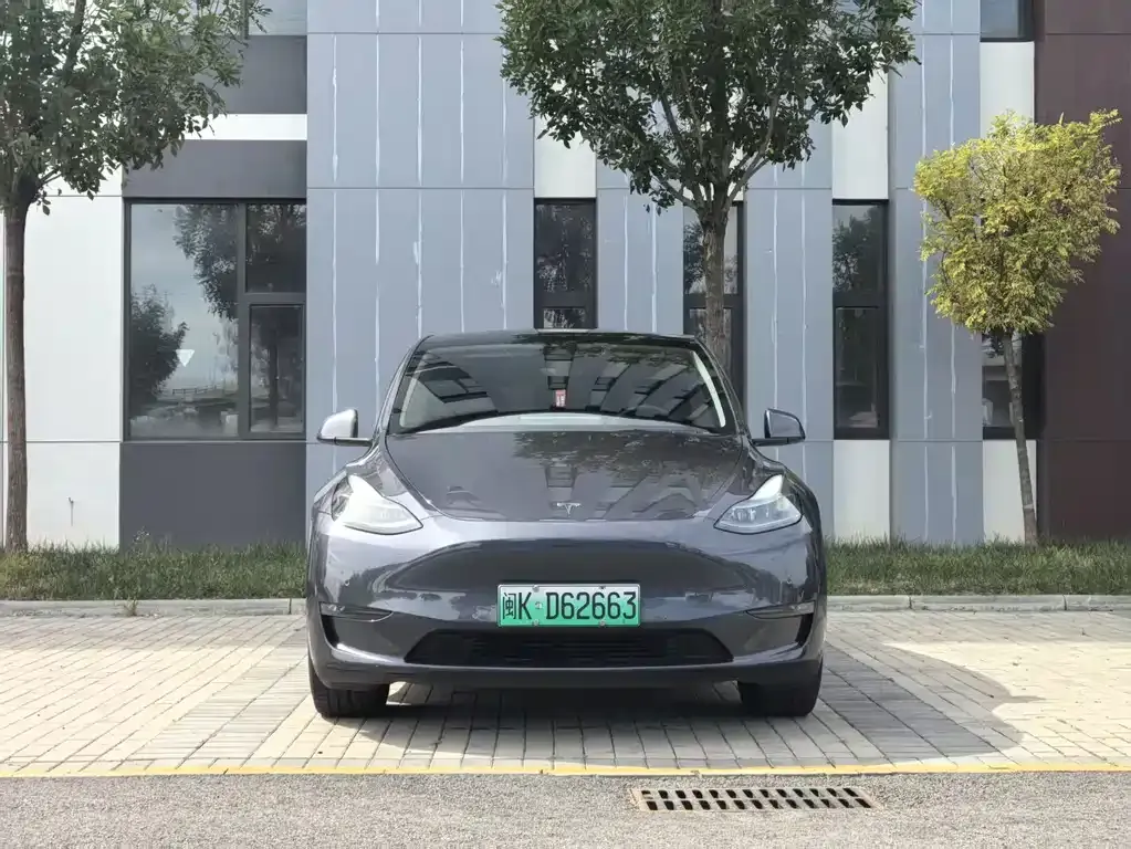 Tesla Model Y — фото 1