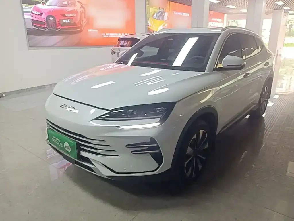BYD PLUS New Energy — фото 1