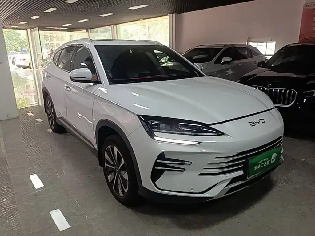 BYD PLUS New Energy — фото 9