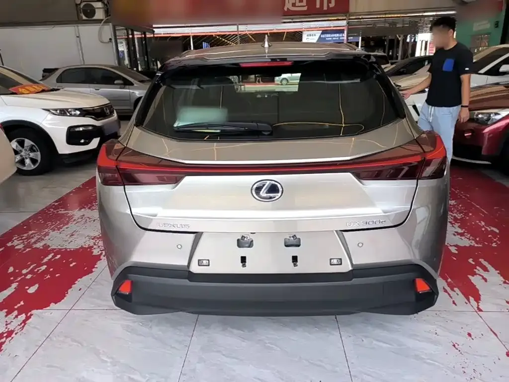 Lexus UX New Energy — фото 6