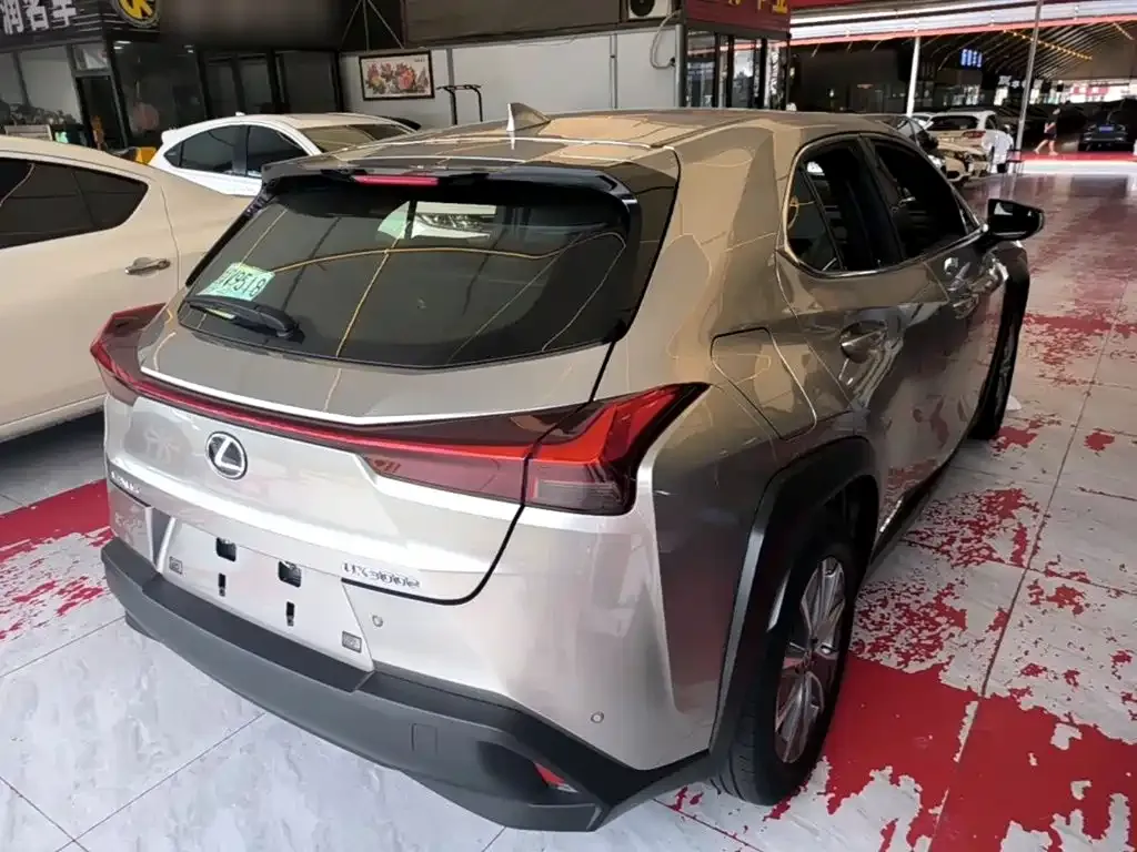 Lexus UX New Energy — фото 10