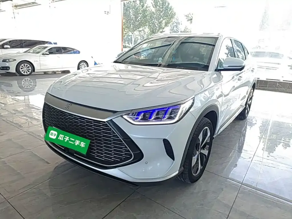 BYD PLUS New Energy — фото 1