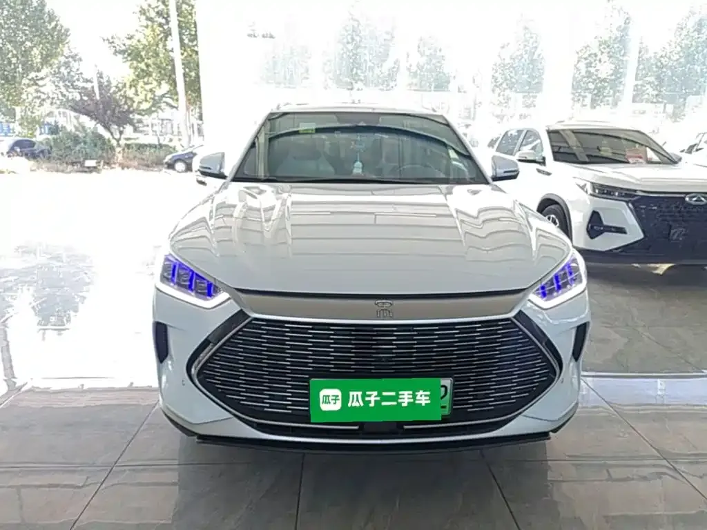 BYD PLUS New Energy — фото 8