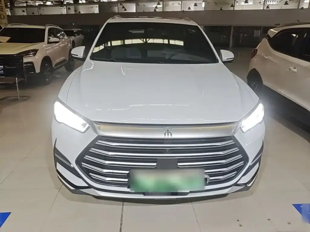 BYD Pro New Energy — фото 4