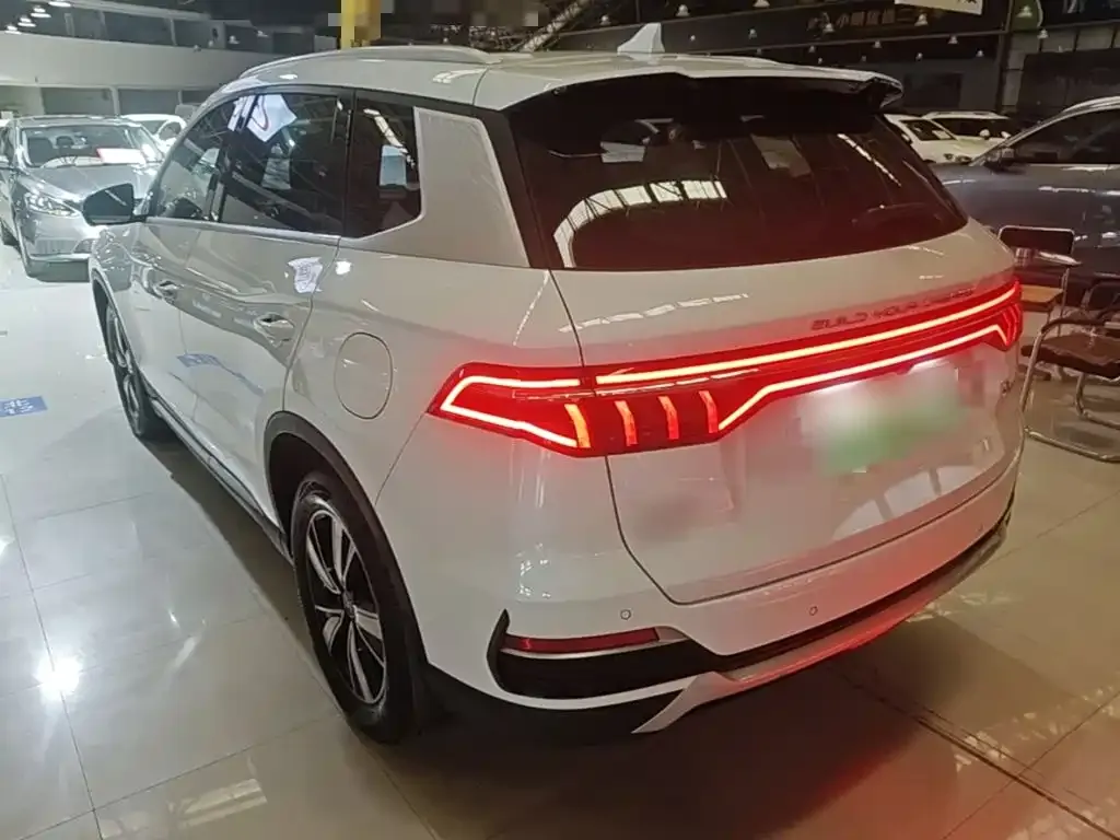 BYD Pro New Energy — фото 8