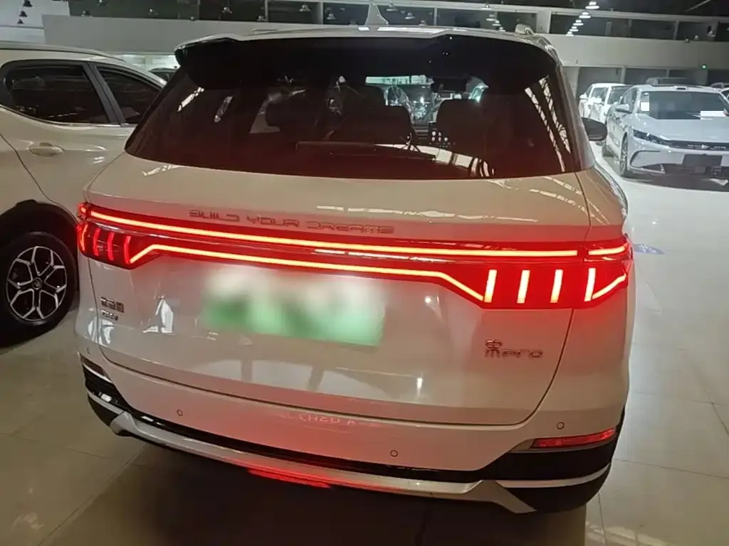 BYD Pro New Energy — фото 10