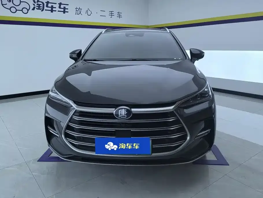 BYD Tang New Energy — фото 3