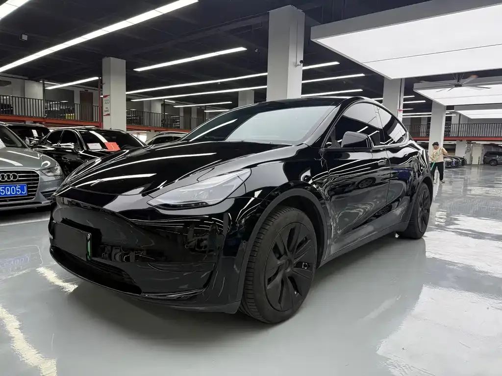 Tesla Model Y — фото 1