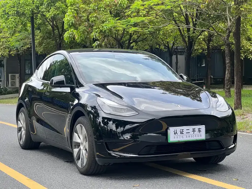Tesla Model Y — фото 6