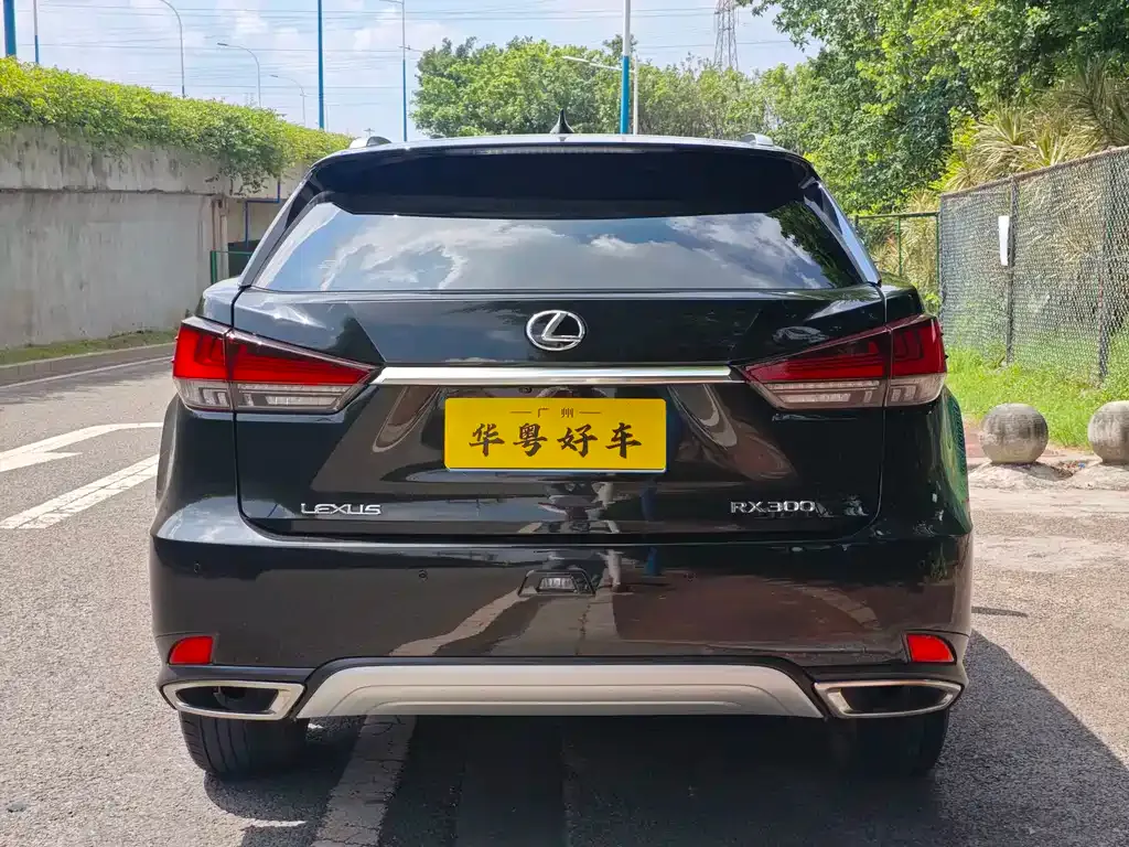 Lexus RX — фото 6