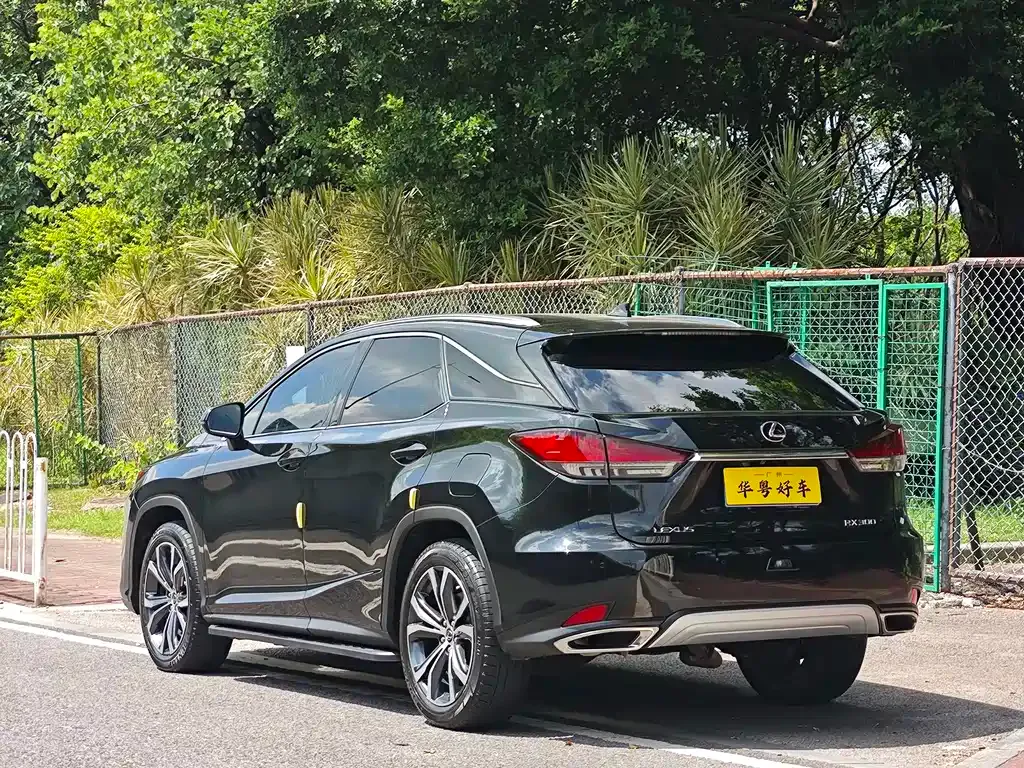 Lexus RX — фото 10