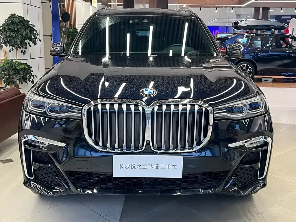 BMW X7 — фото 9