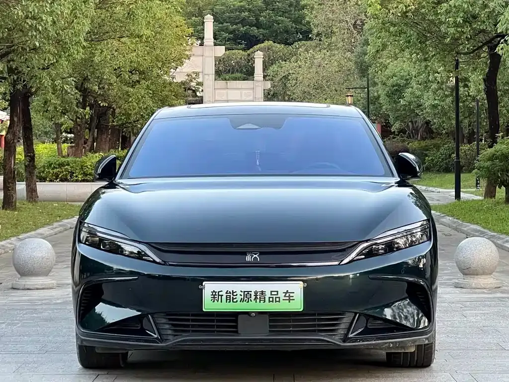 BYD Han — фото 10