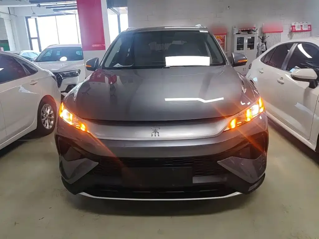 BYD Pro New Energy — фото 6