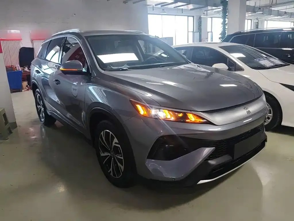 BYD Pro New Energy — фото 3