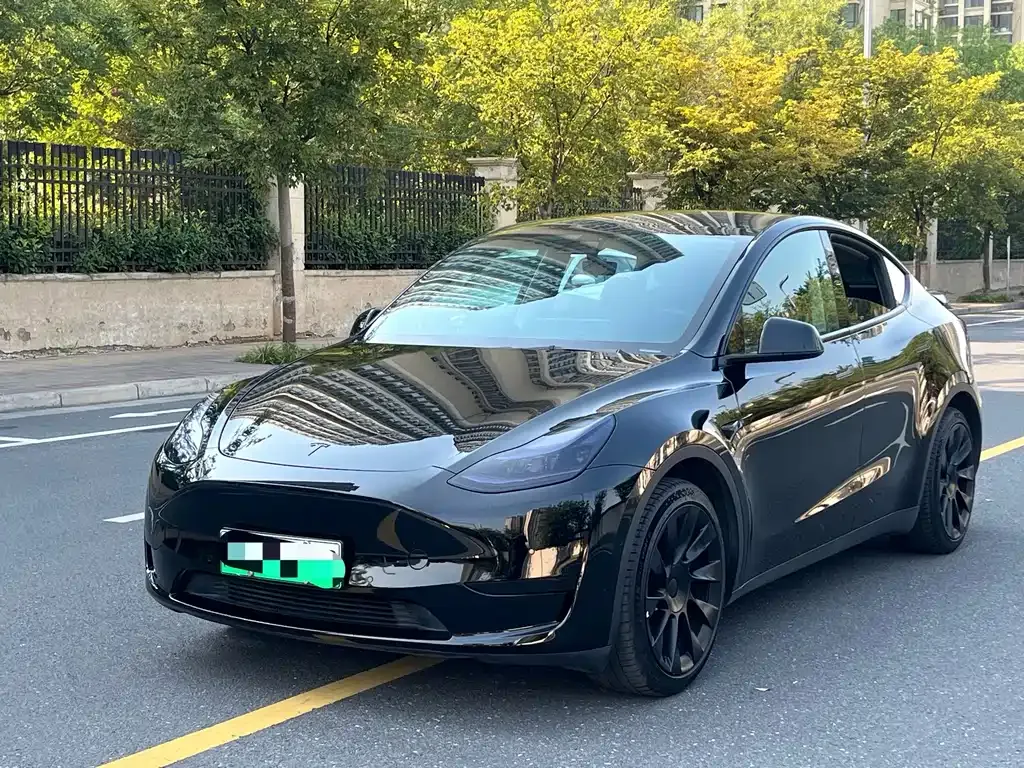 Tesla Model Y — фото 5