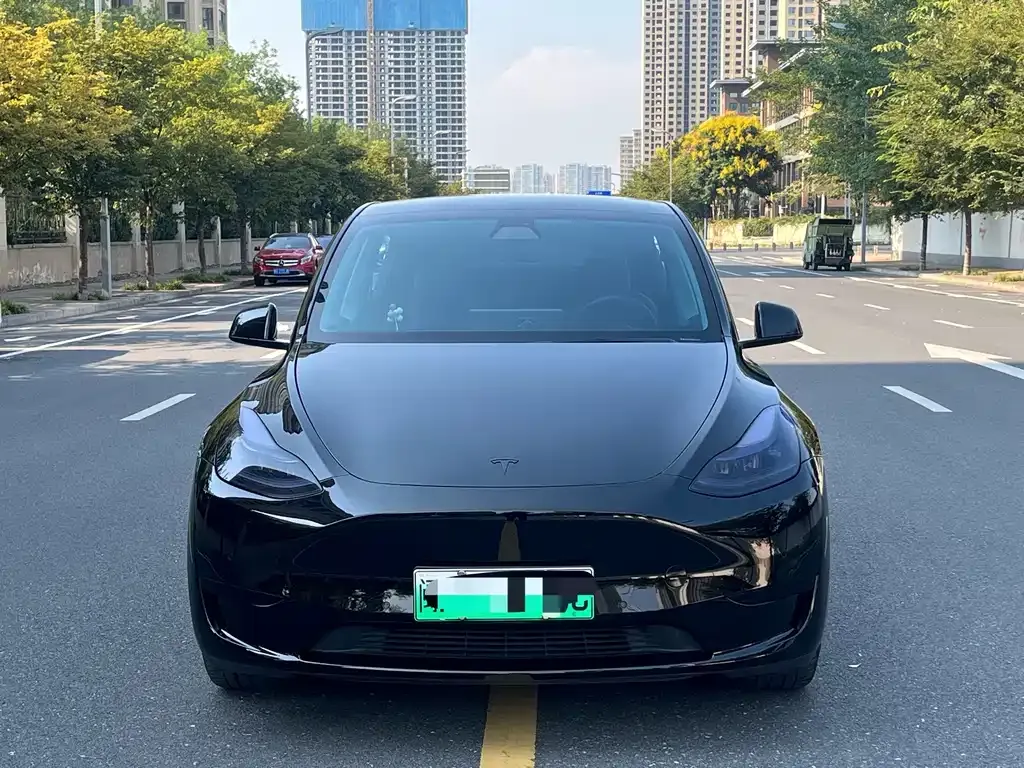 Tesla Model Y — фото 8