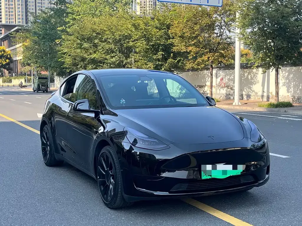 Tesla Model Y — фото 7