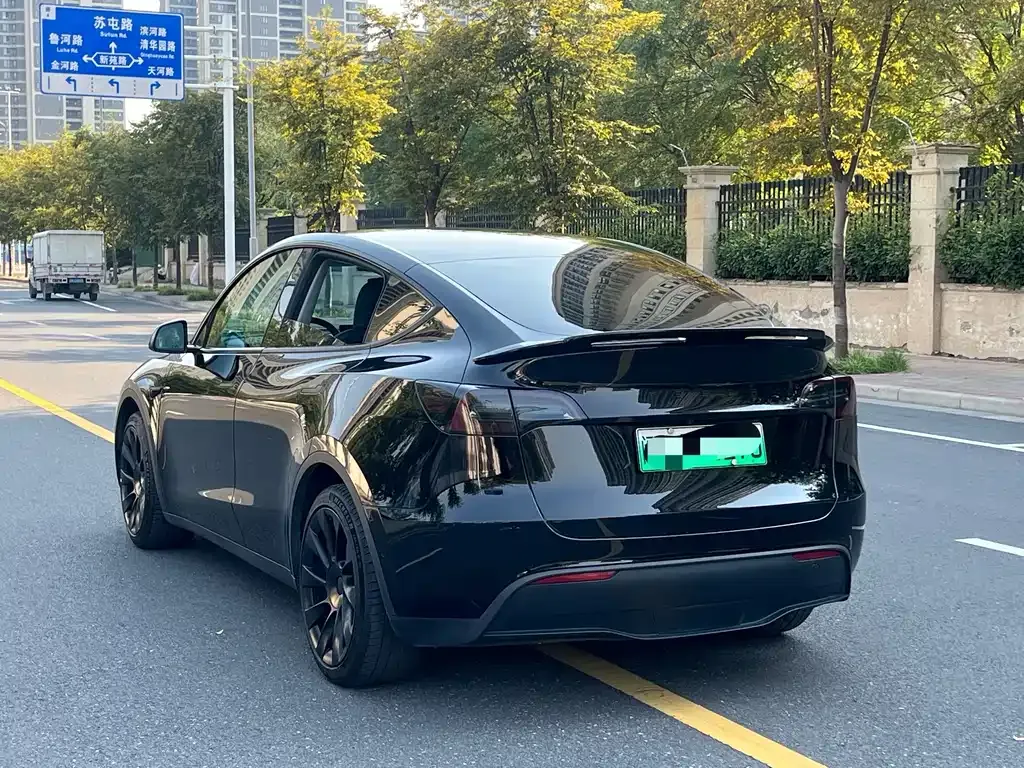 Tesla Model Y — фото 10