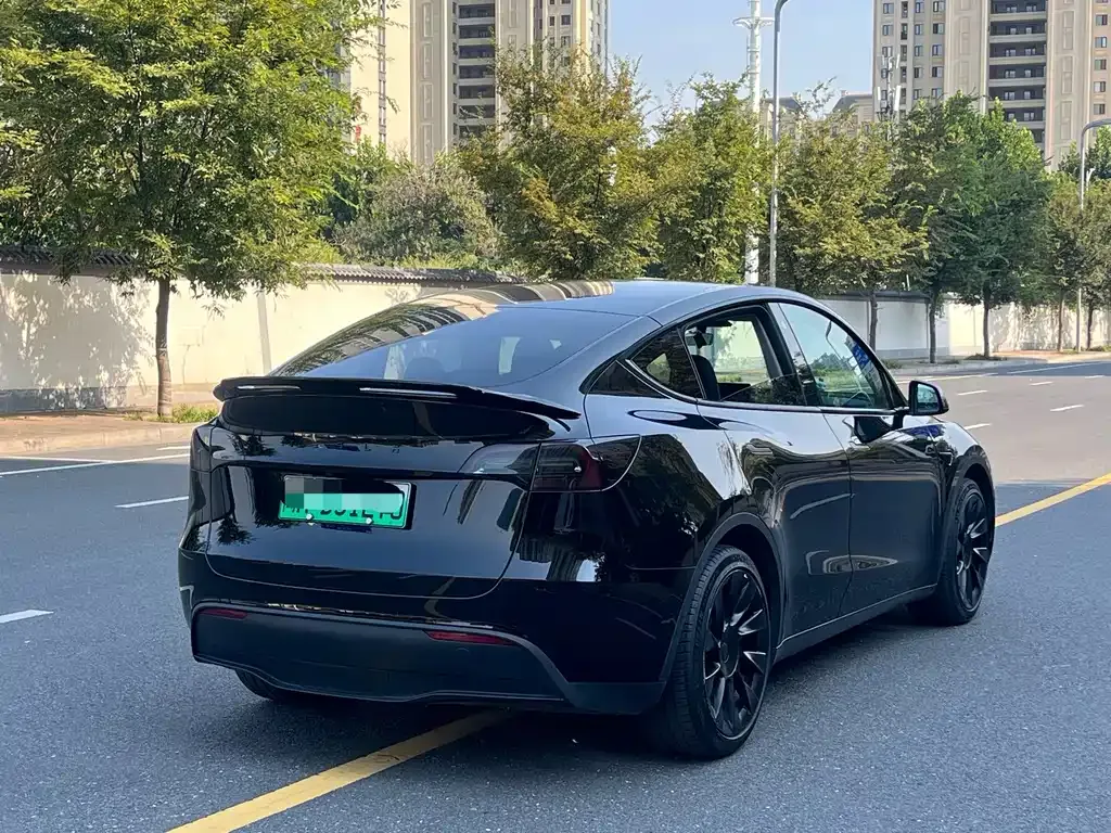 Tesla Model Y — фото 9