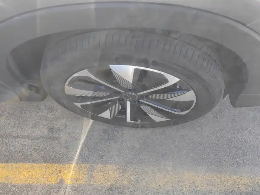 BYD PLUS New Energy — фото 10