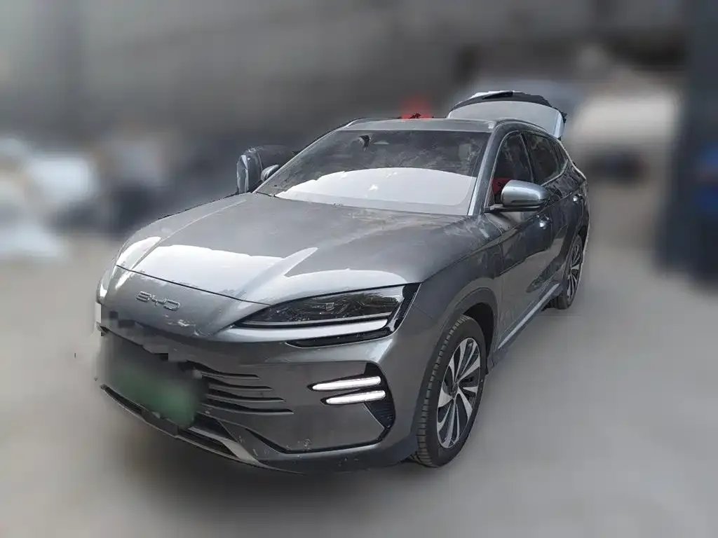 BYD PLUS New Energy — фото 1