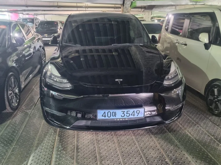 Tesla Model Y — фото 1