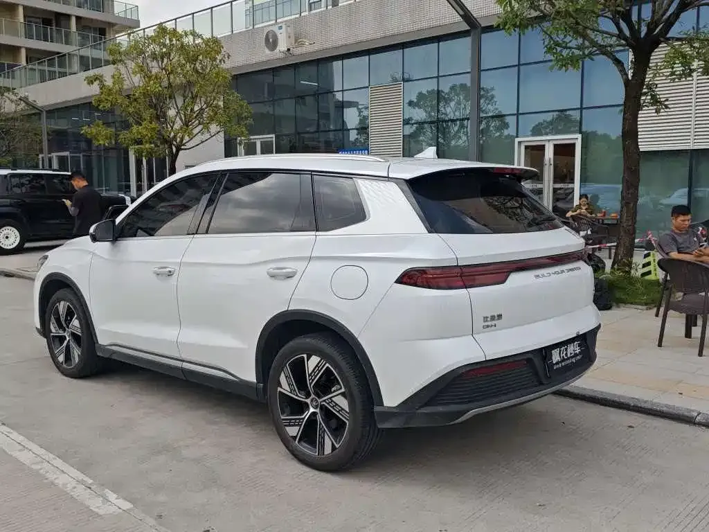 BYD Pro New Energy — фото 9