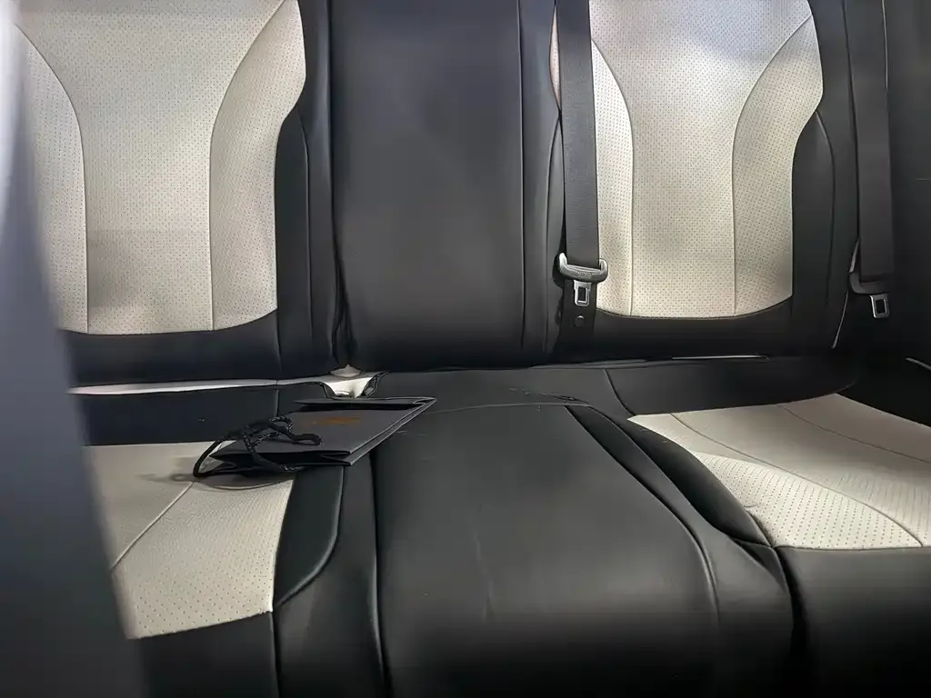 Geely Starburst — фото 9