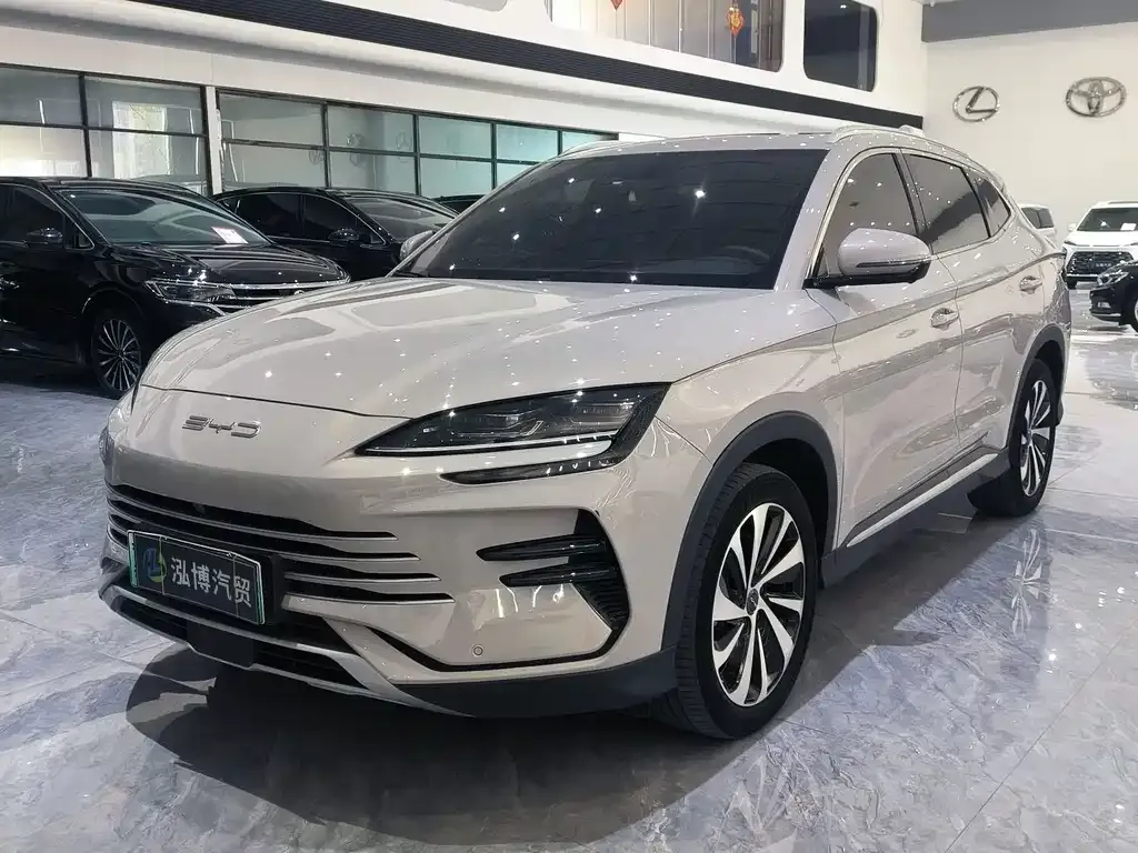 BYD PLUS New Energy — фото 1