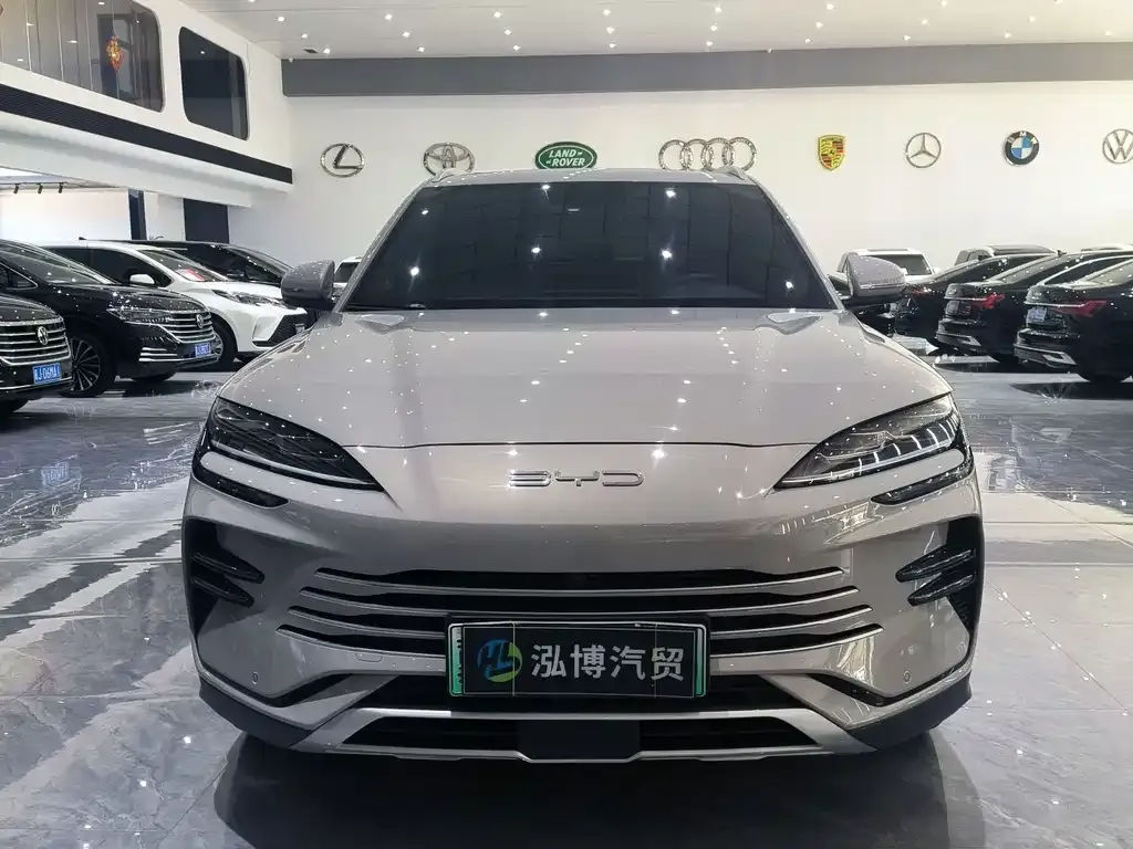 BYD PLUS New Energy — фото 9