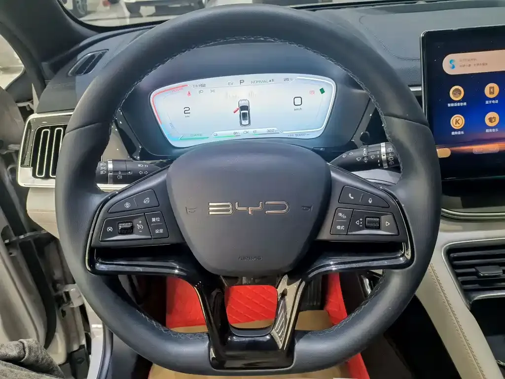 BYD PLUS New Energy — фото 4