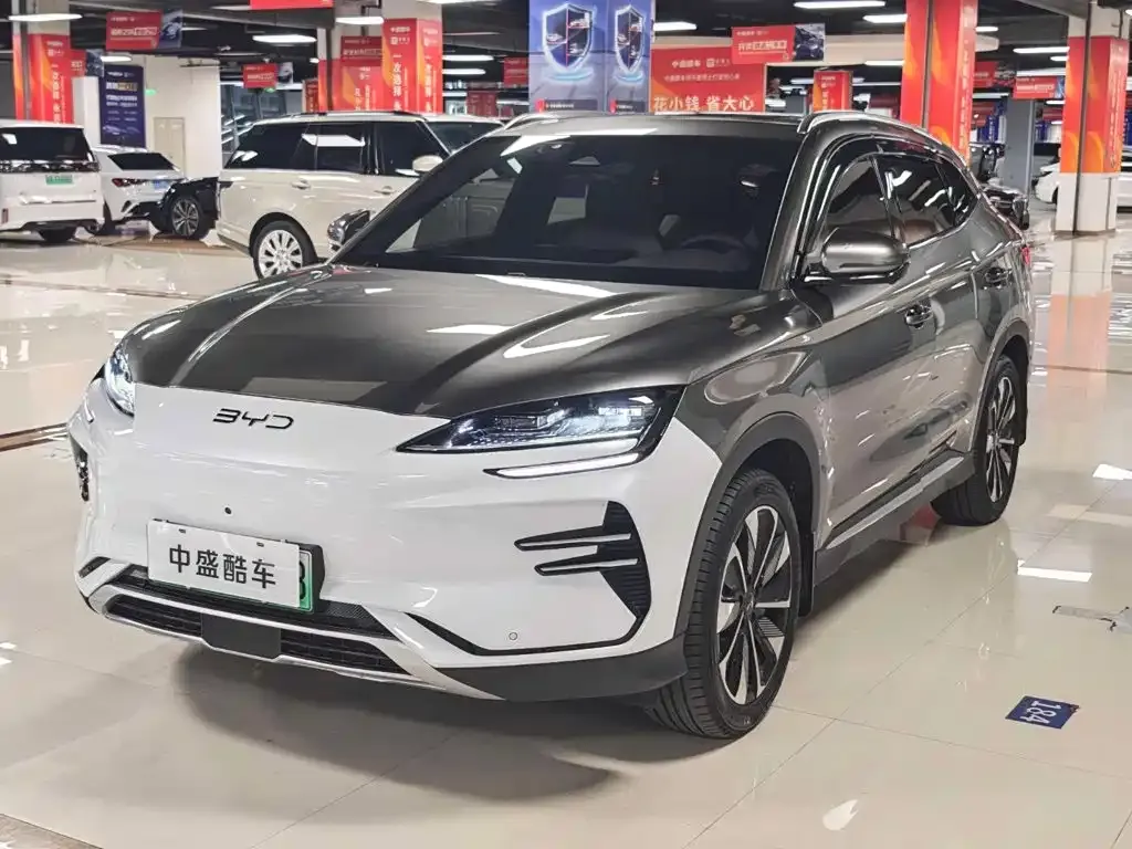 BYD PLUS New Energy — фото 1