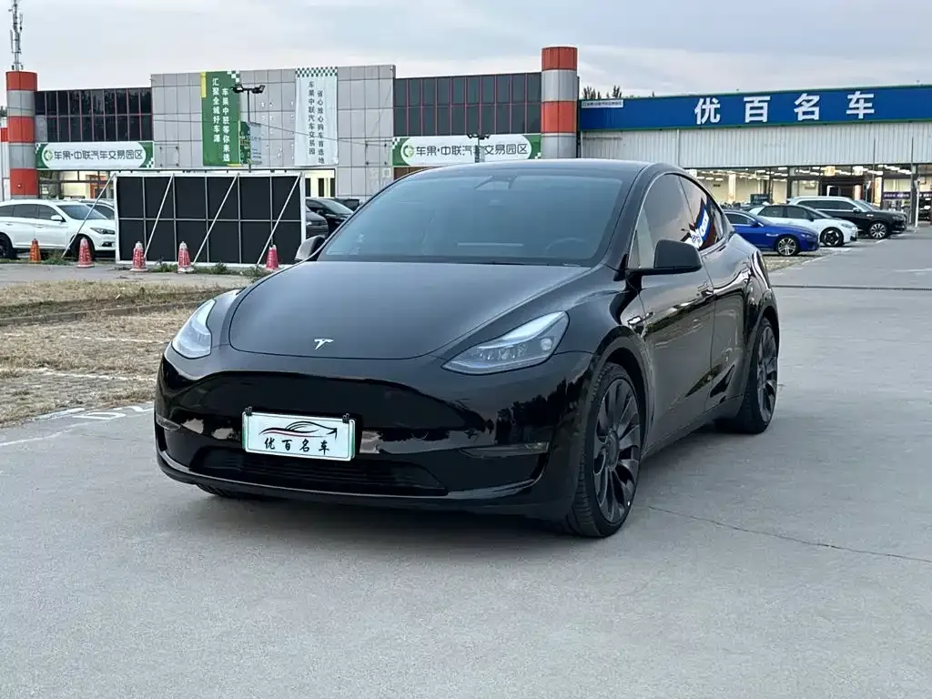 Tesla Model Y — фото 1