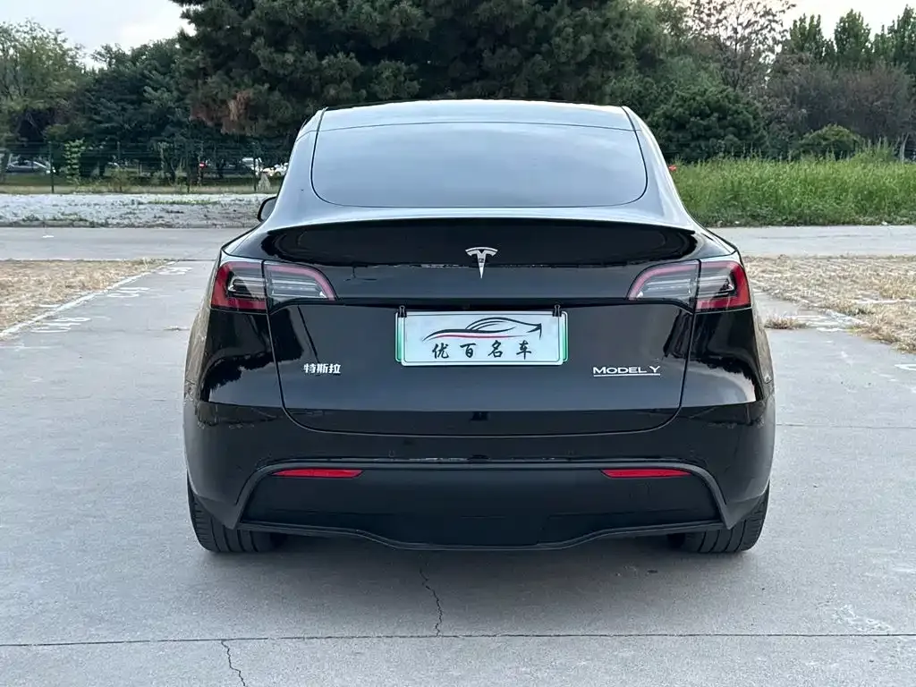 Tesla Model Y — фото 9