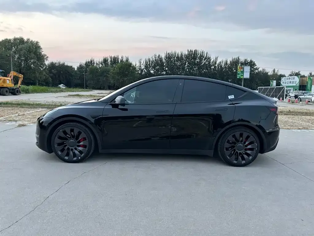 Tesla Model Y — фото 10