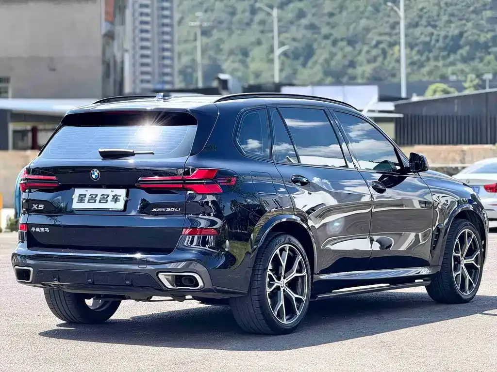 BMW X5 — фото 10