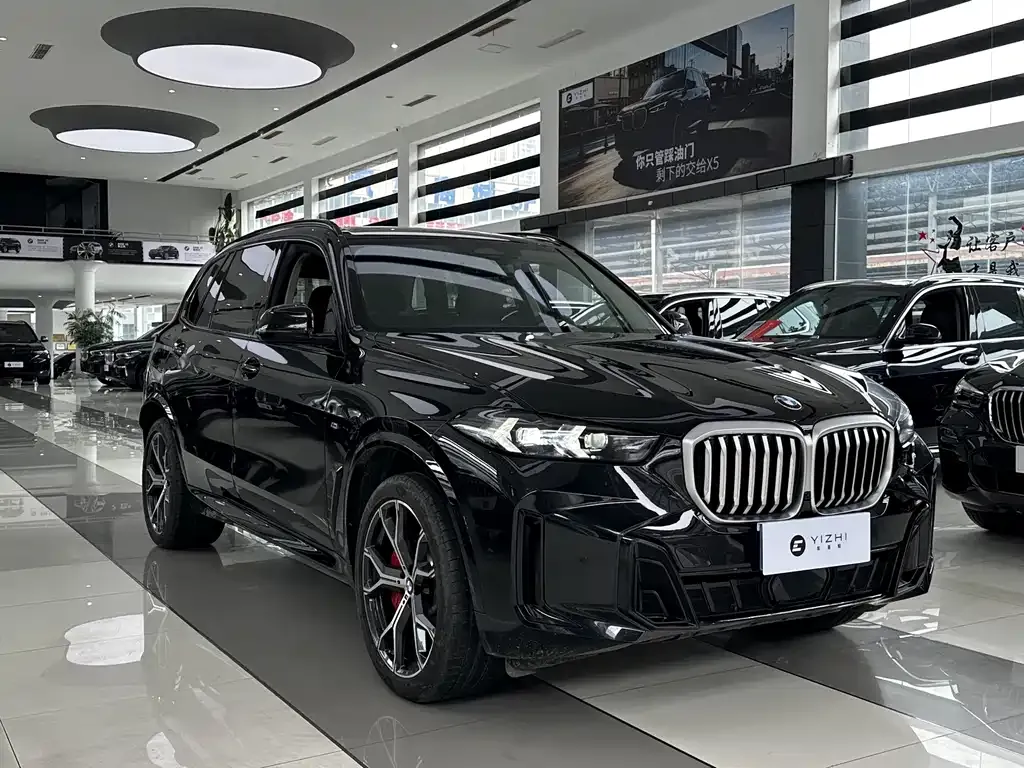 BMW X5 — фото 4