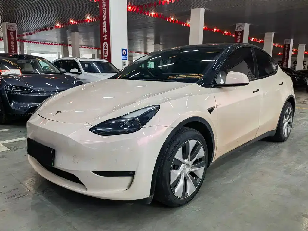 Tesla Model Y — фото 1