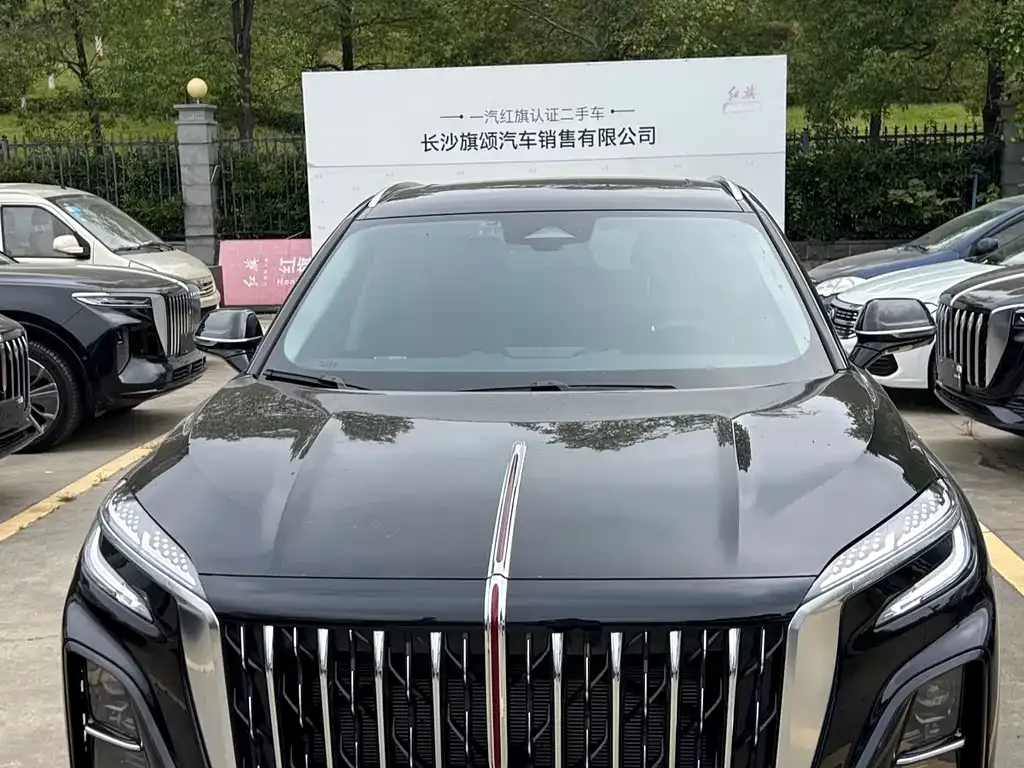 Hongqi HS3 PHEV — фото 7