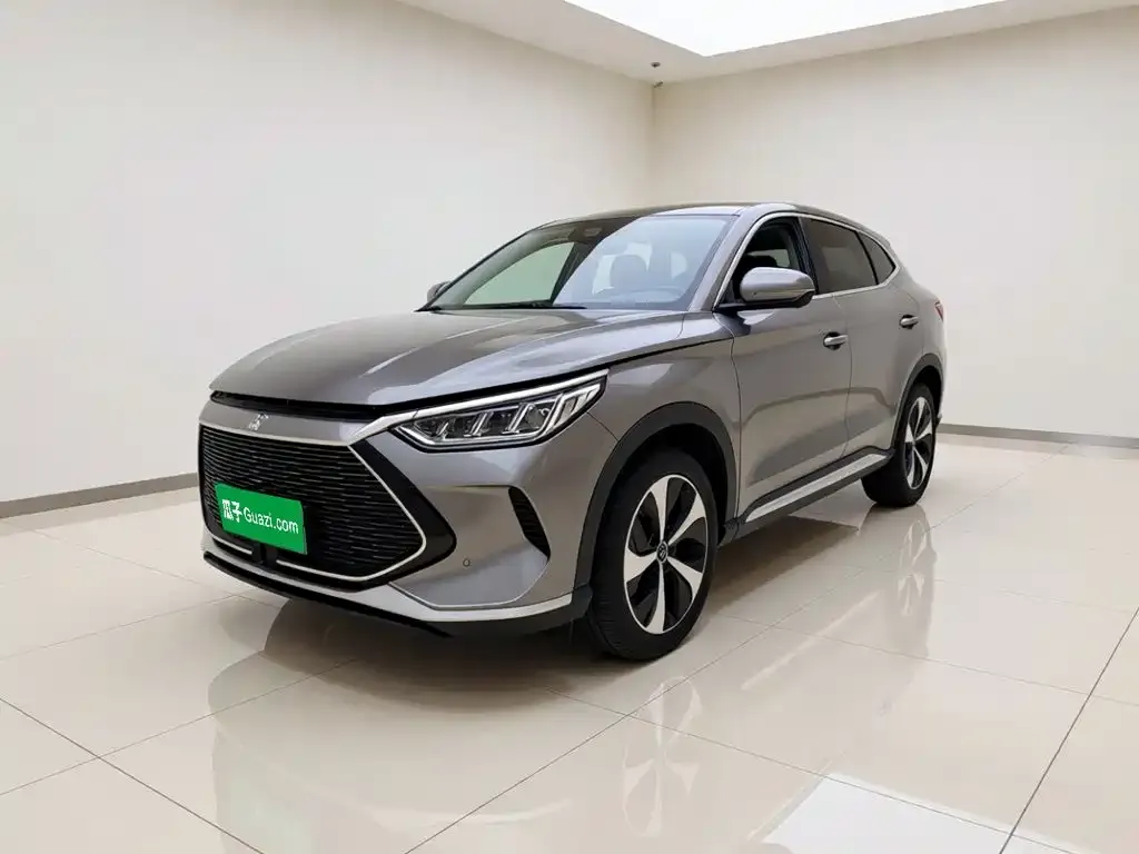 BYD PLUS New Energy — фото 1