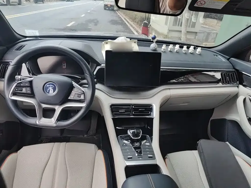 BYD PLUS New Energy — фото 10