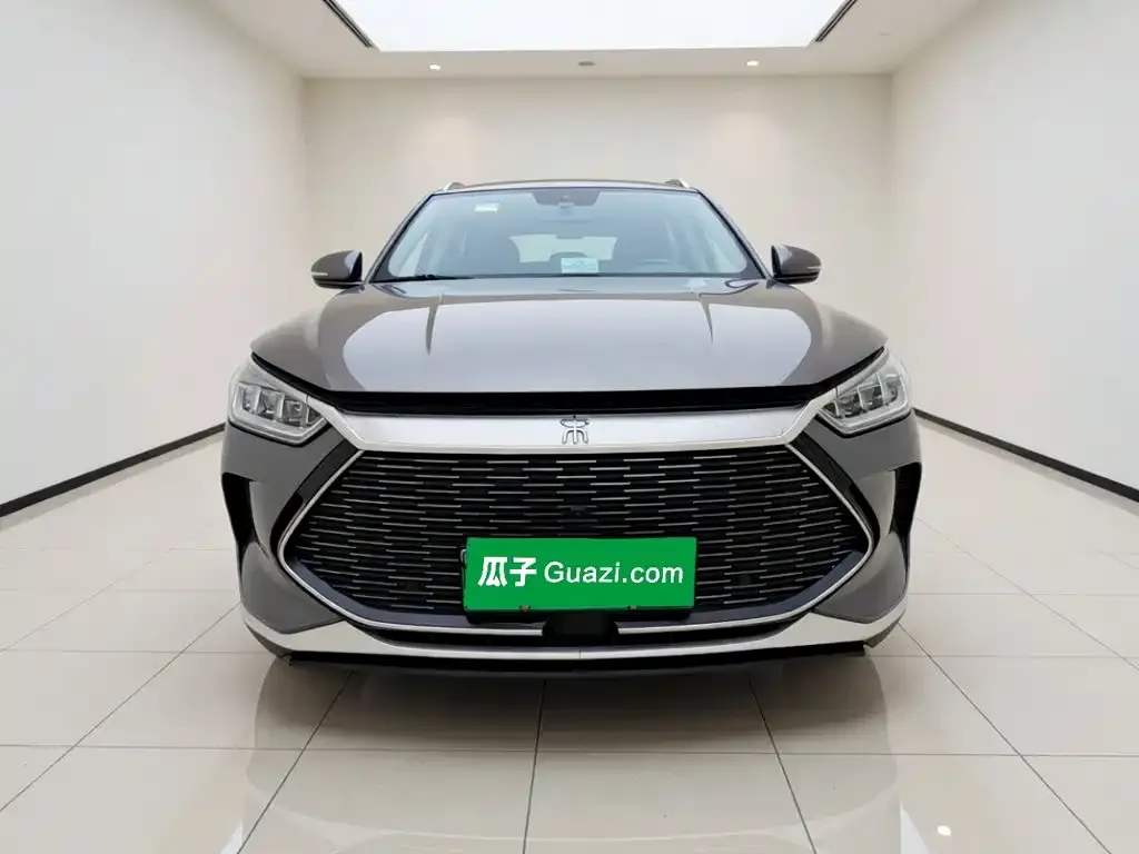 BYD PLUS New Energy — фото 2