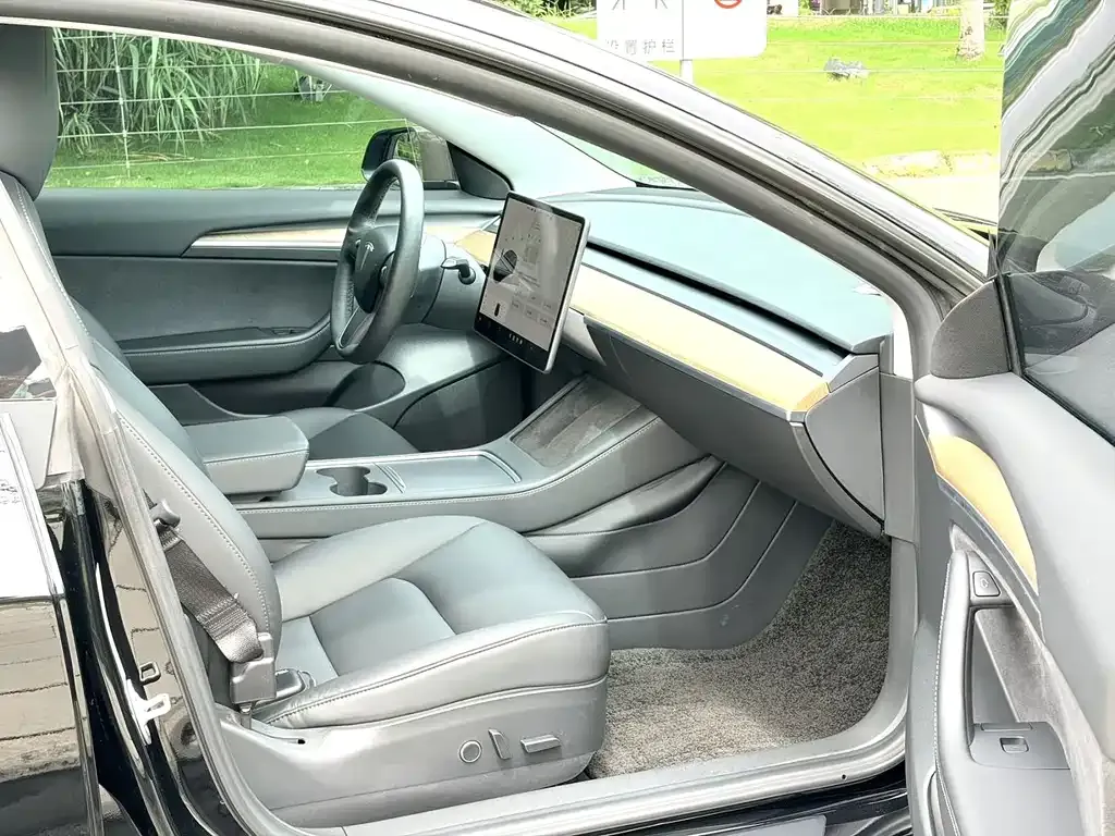 Tesla Model 3 — фото 2