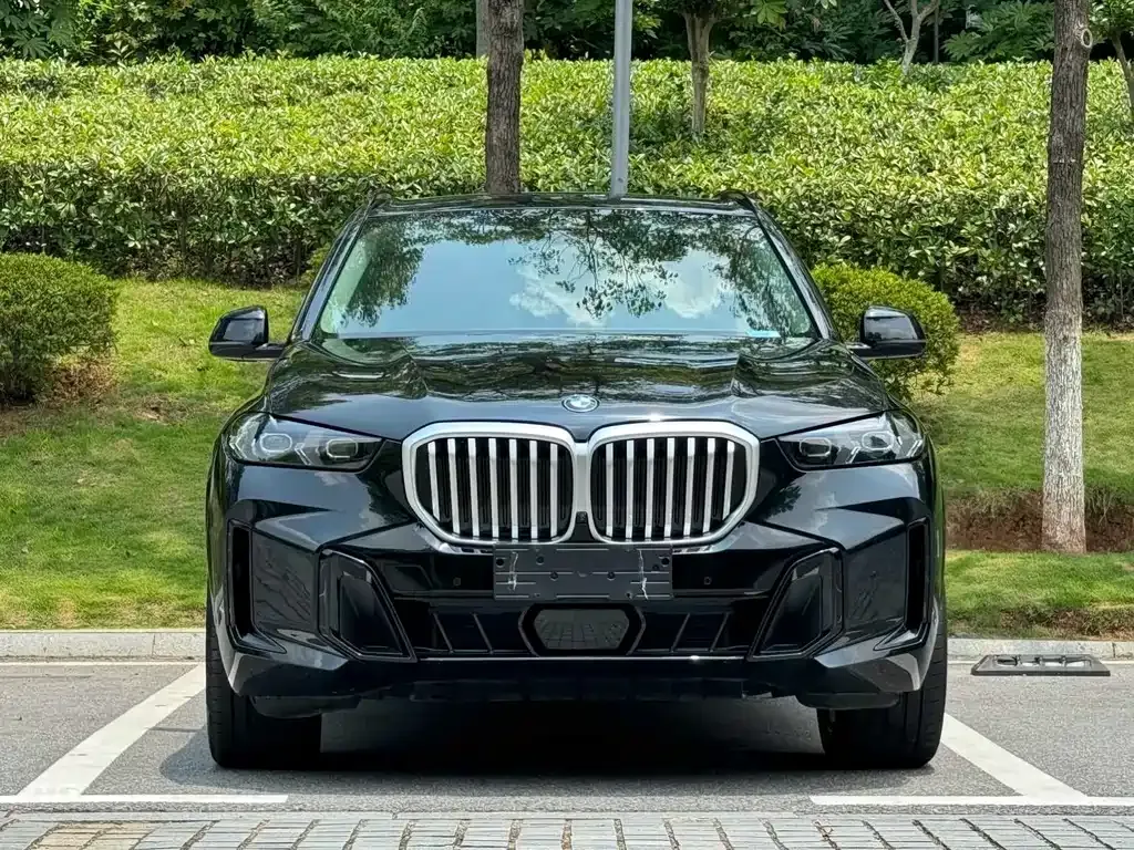 BMW X5 — фото 4