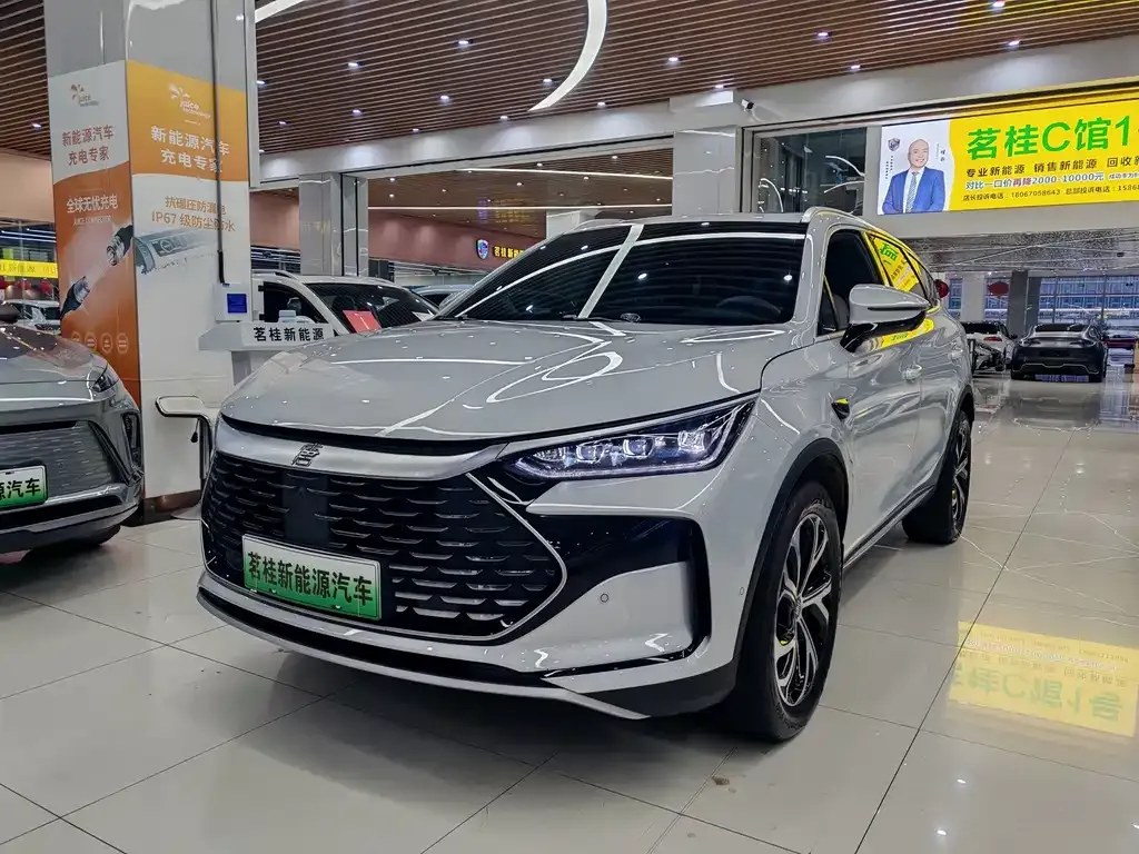 BYD Tang New Energy — фото 1