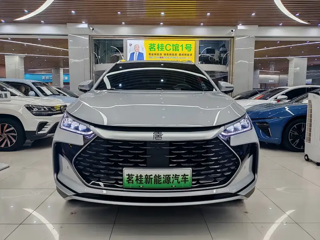 BYD Tang New Energy — фото 7