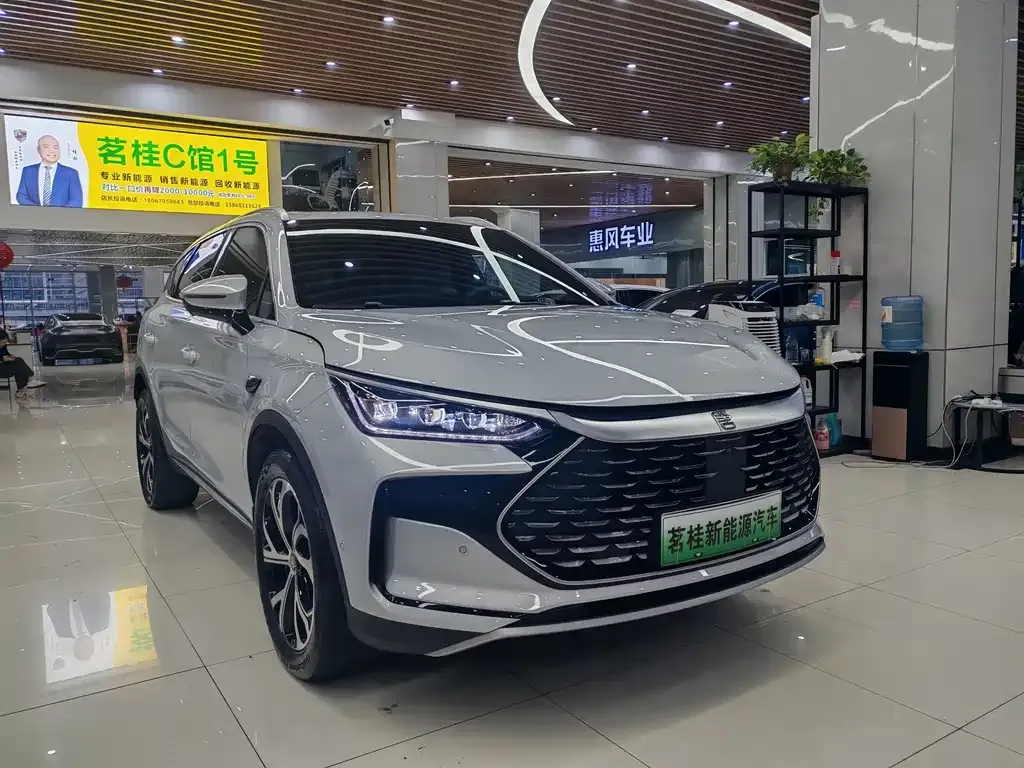 BYD Tang New Energy — фото 6