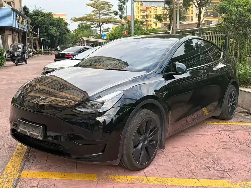Tesla Model Y — фото 1